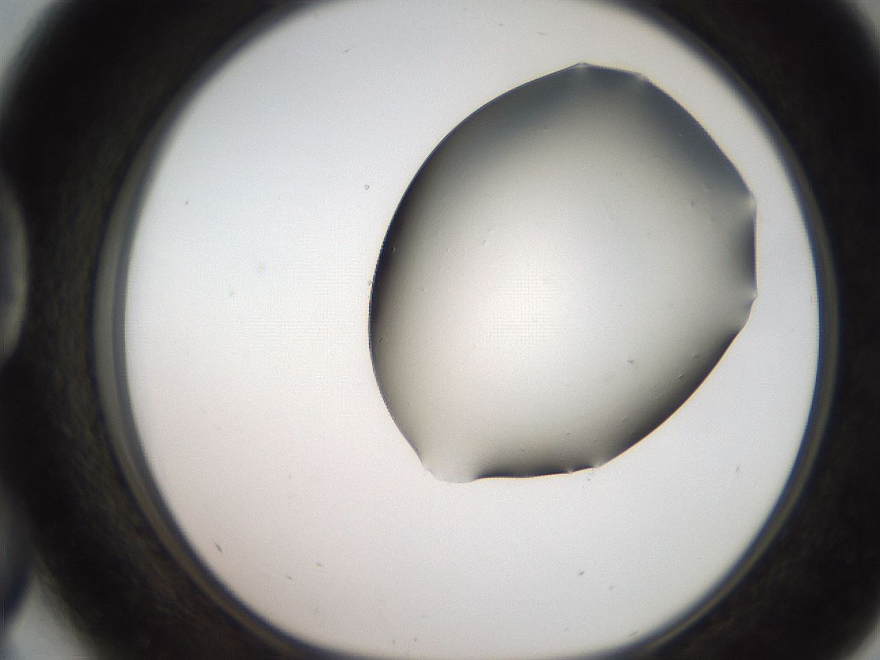 folderID246_plateID2246_batchID10265_wellNum41_profileID1_d1_r155008_ef.jpg