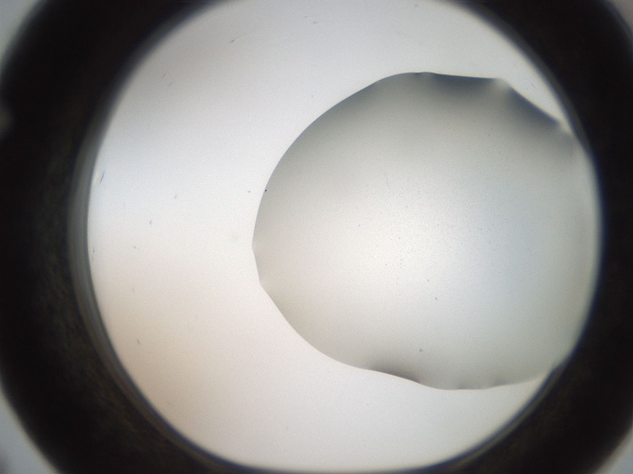 folderID242_plateID2242_batchID10224_wellNum67_profileID1_d1_r154836_ef.jpg