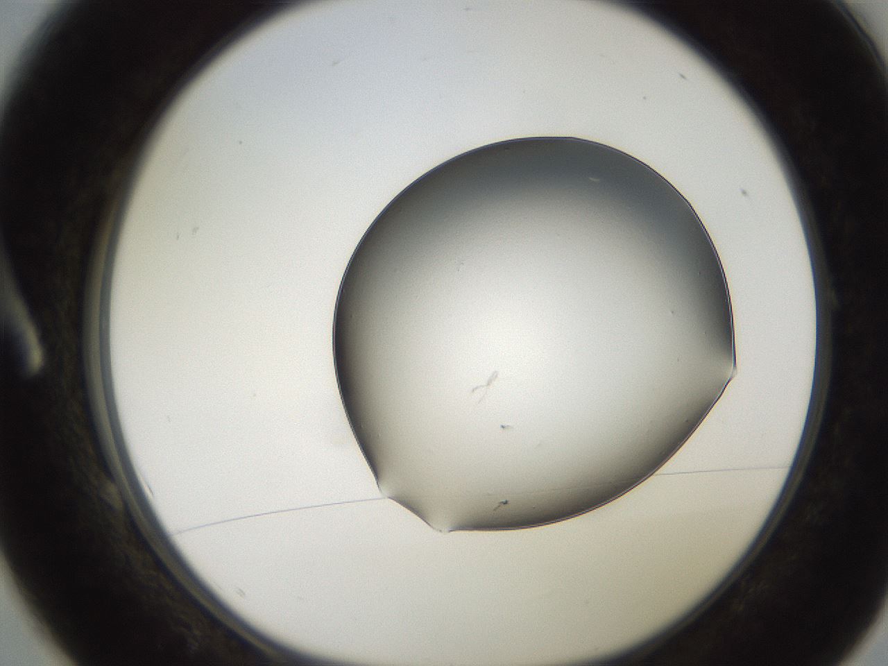 folderID246_plateID2246_batchID10265_wellNum1_profileID1_d1_r154968_ef.jpg