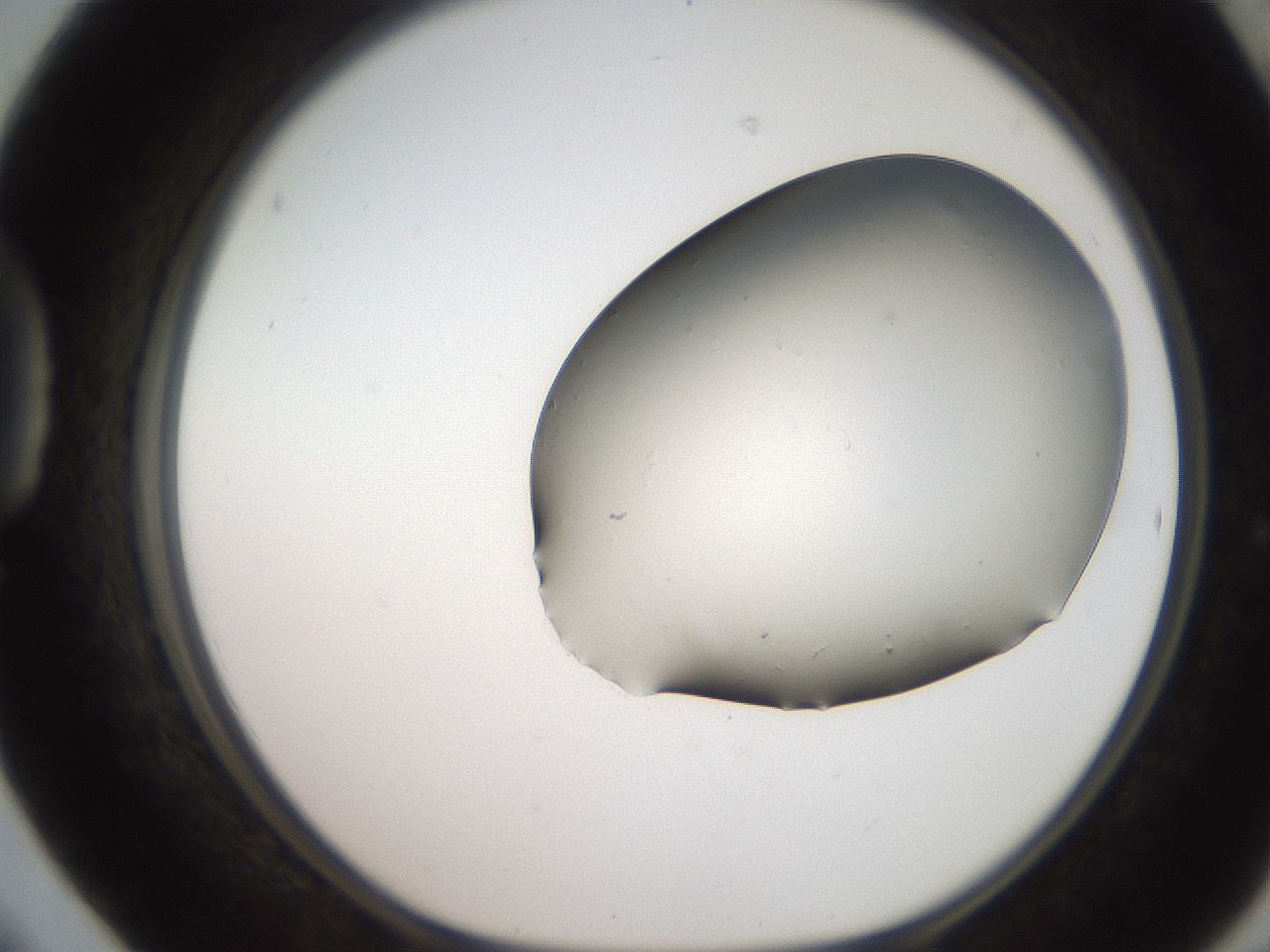 folderID246_plateID2246_batchID10265_wellNum42_profileID1_d1_r155009_ef.jpg