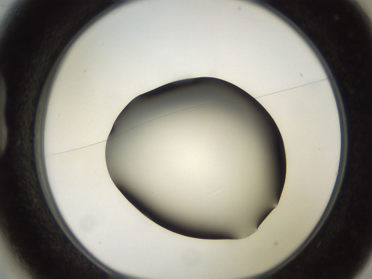 folderID247_plateID2247_batchID10277_wellNum13_profileID1_d1_r155091_ef.jpg