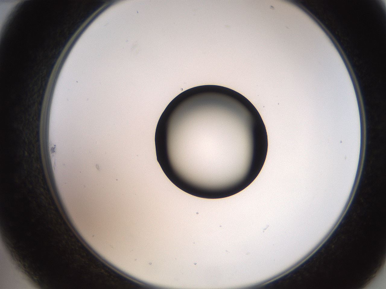 folderID247_plateID2247_batchID10277_wellNum22_profileID1_d2_r155110_ef.jpg