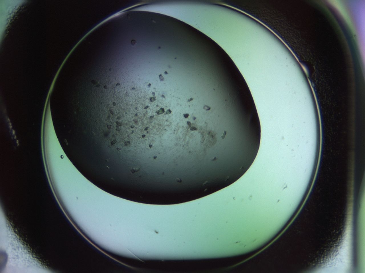 02hf_A7_ImagerDefaults_9.jpg