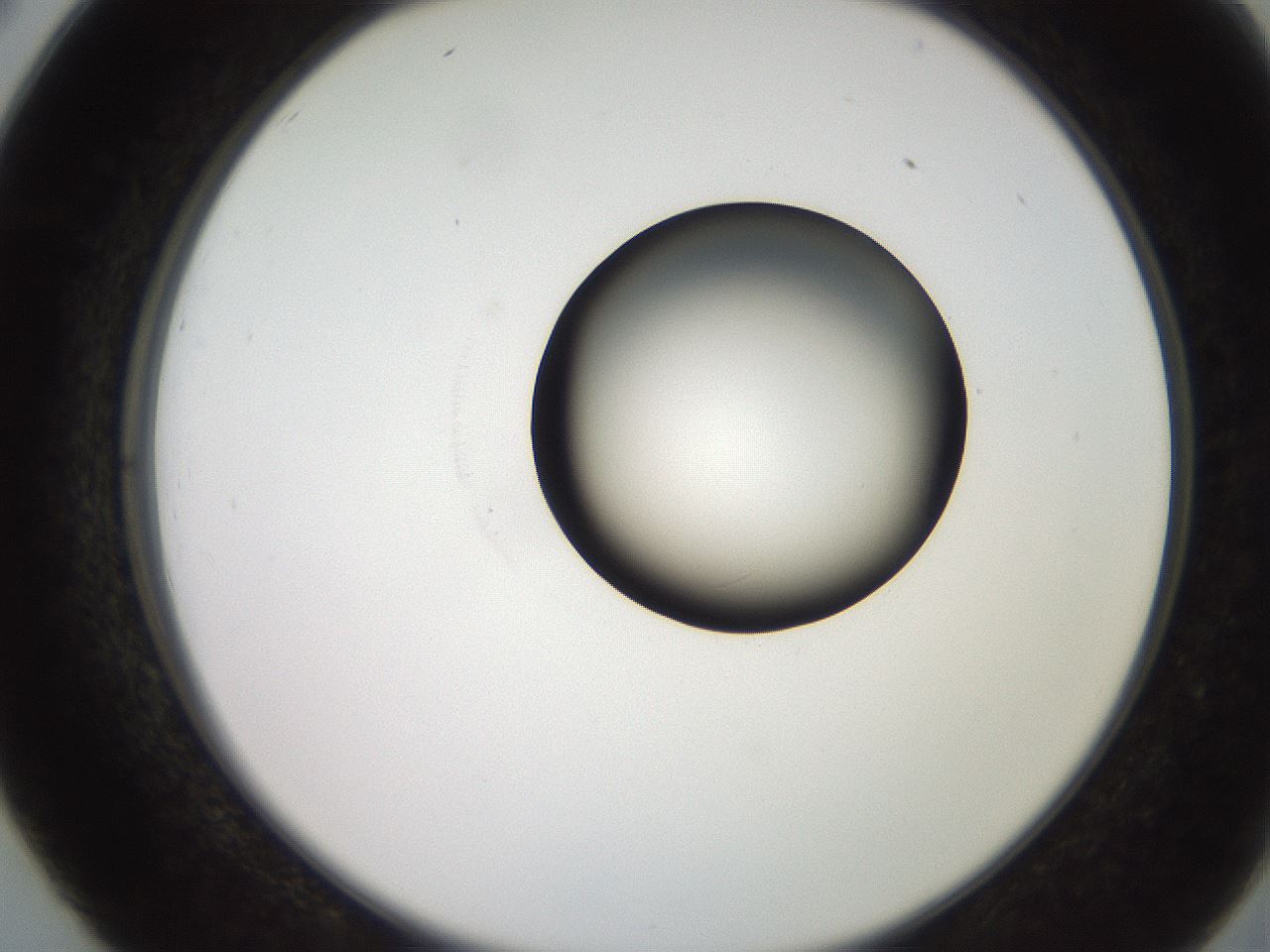 folderID247_plateID2247_batchID10277_wellNum26_profileID1_d2_r155118_ef.jpg