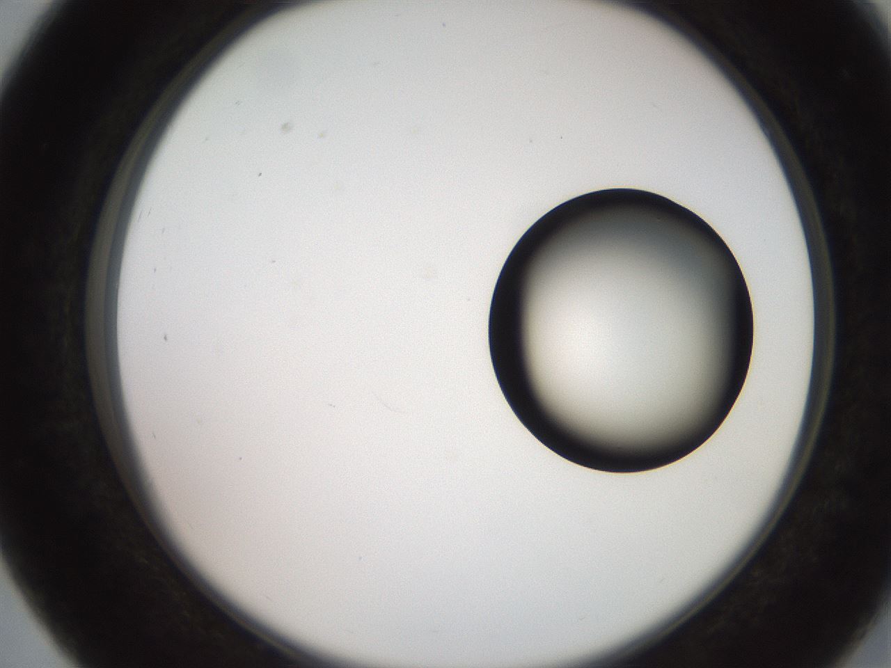 folderID247_plateID2247_batchID10277_wellNum27_profileID1_d2_r155120_ef.jpg
