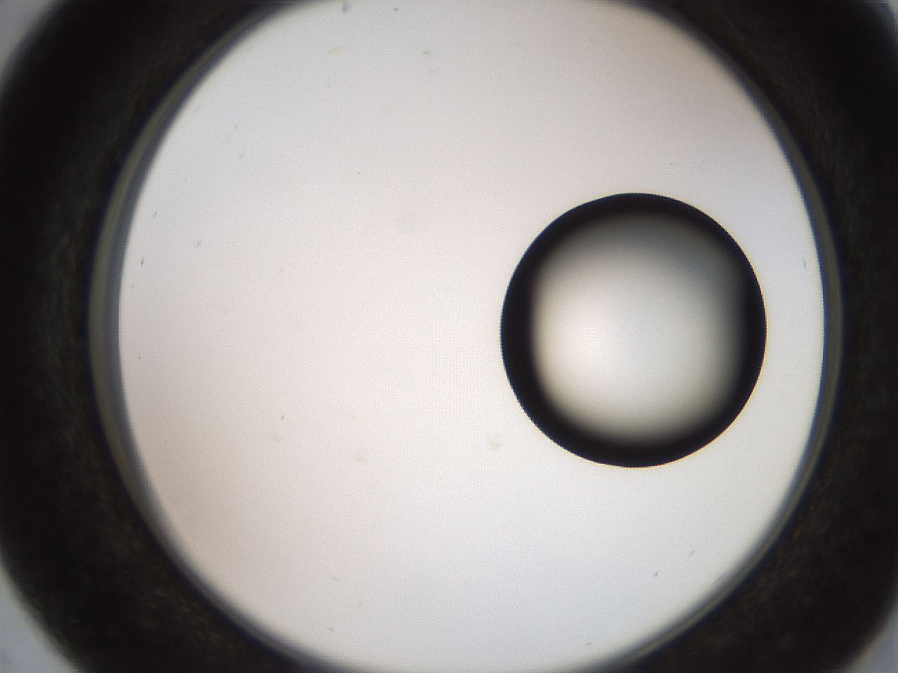 folderID247_plateID2247_batchID10277_wellNum29_profileID1_d2_r155124_ef.jpg