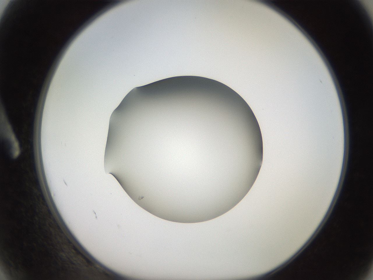 folderID247_plateID2247_batchID10277_wellNum2_profileID1_d1_r155069_ef.jpg