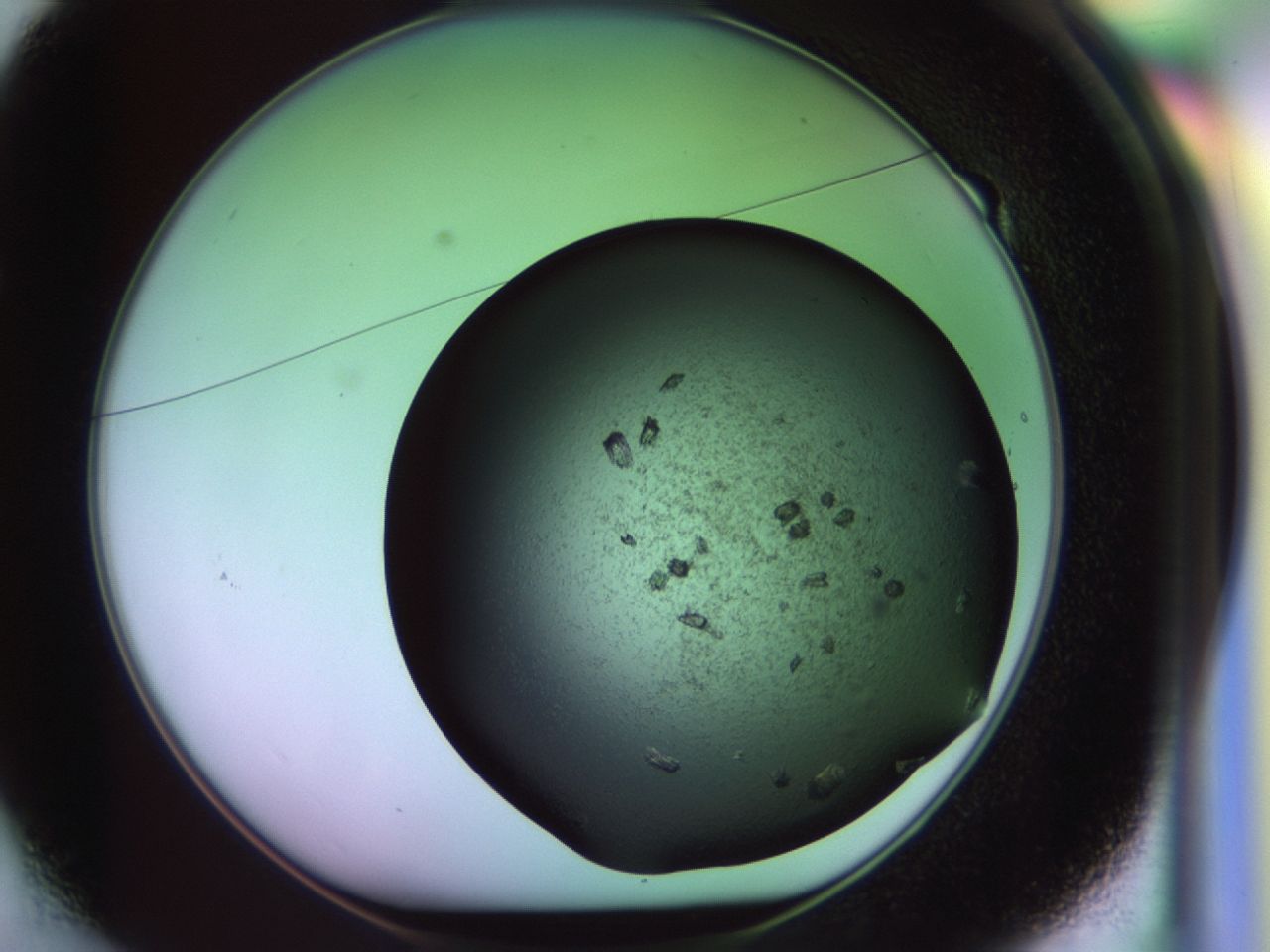 02hf_E1_ImagerDefaults_9.jpg