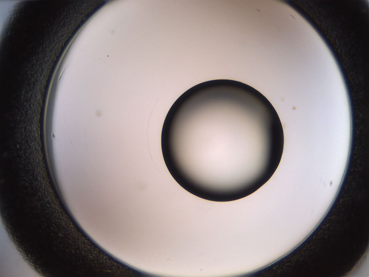 folderID247_plateID2247_batchID10277_wellNum36_profileID1_d2_r155138_ef.jpg