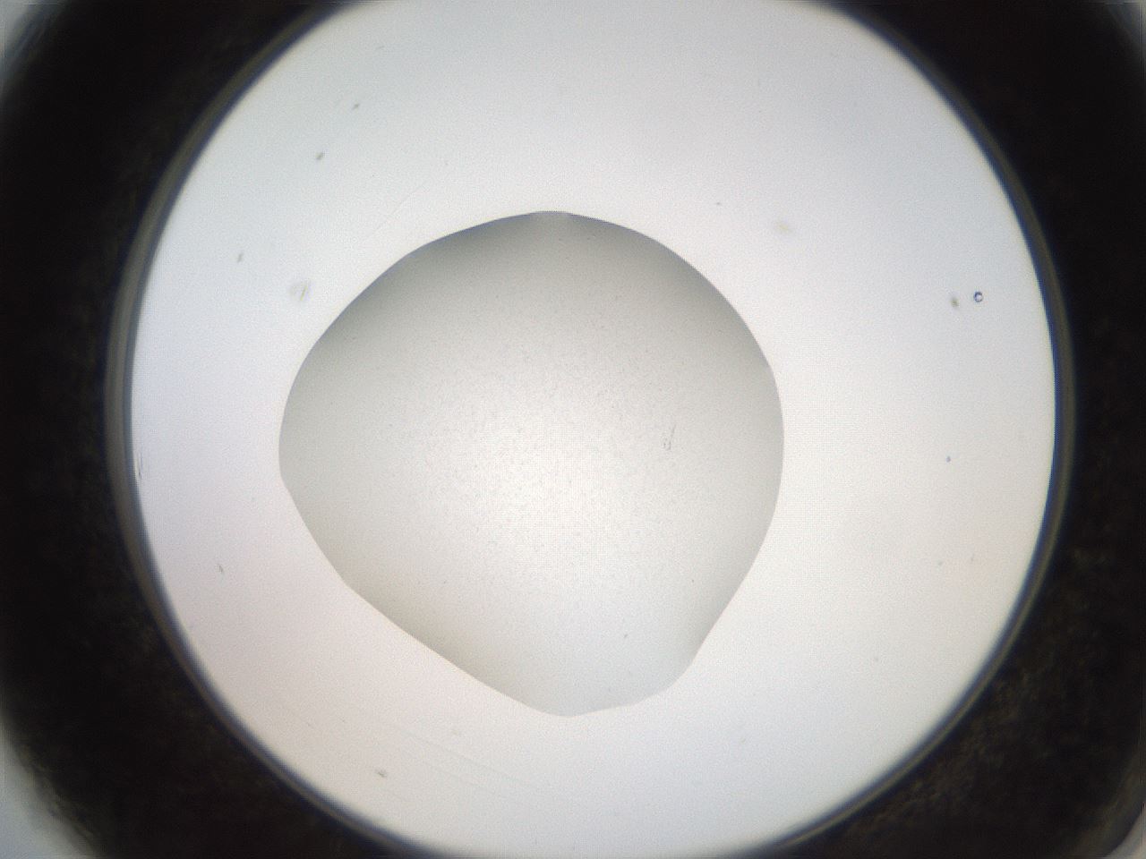 folderID247_plateID2247_batchID10277_wellNum3_profileID1_d2_r155072_ef.jpg
