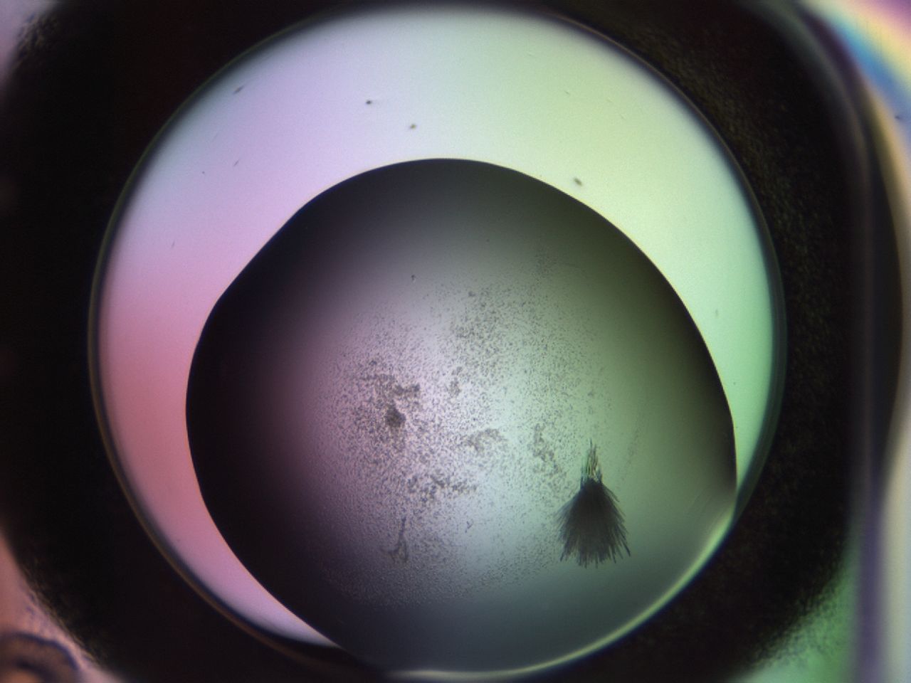 02hf_E10_ImagerDefaults_6.jpg