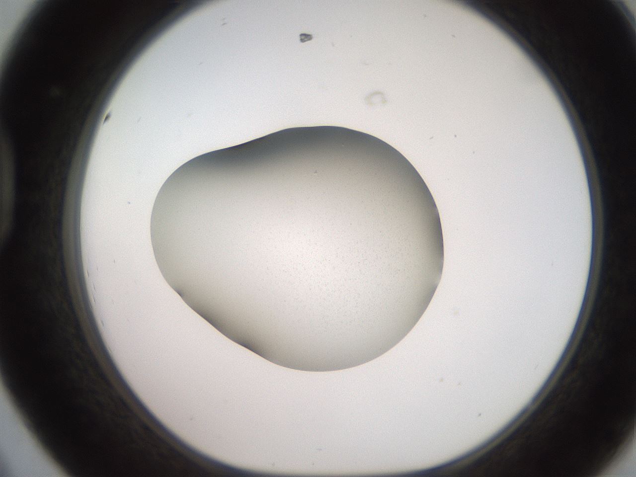 folderID247_plateID2247_batchID10277_wellNum44_profileID1_d1_r155153_ef.jpg