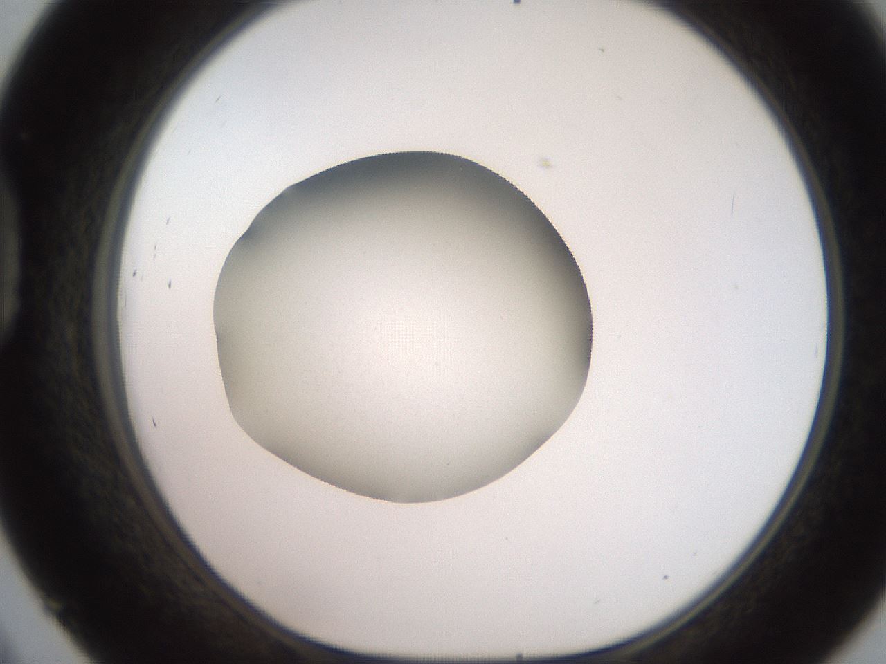 folderID247_plateID2247_batchID10277_wellNum45_profileID1_d1_r155155_ef.jpg