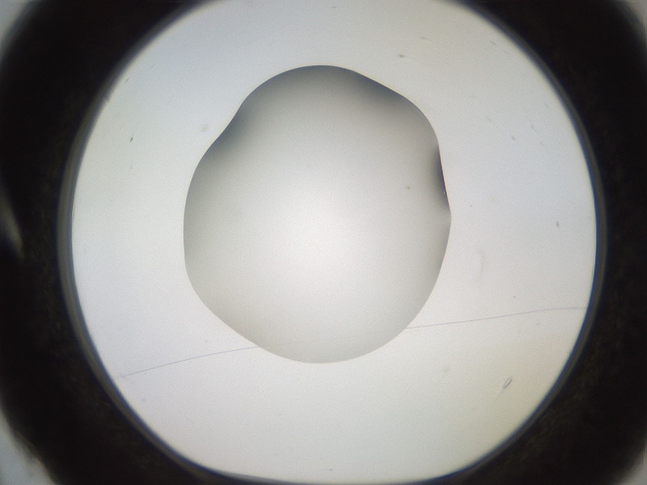 folderID247_plateID2247_batchID10277_wellNum4_profileID1_d1_r155073_ef.jpg