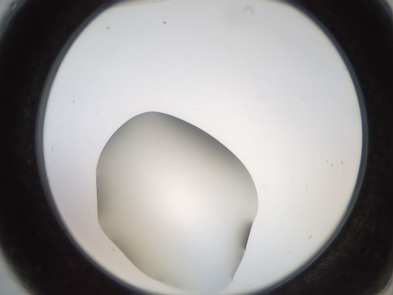 folderID247_plateID2247_batchID10277_wellNum4_profileID1_d2_r155074_ef.jpg