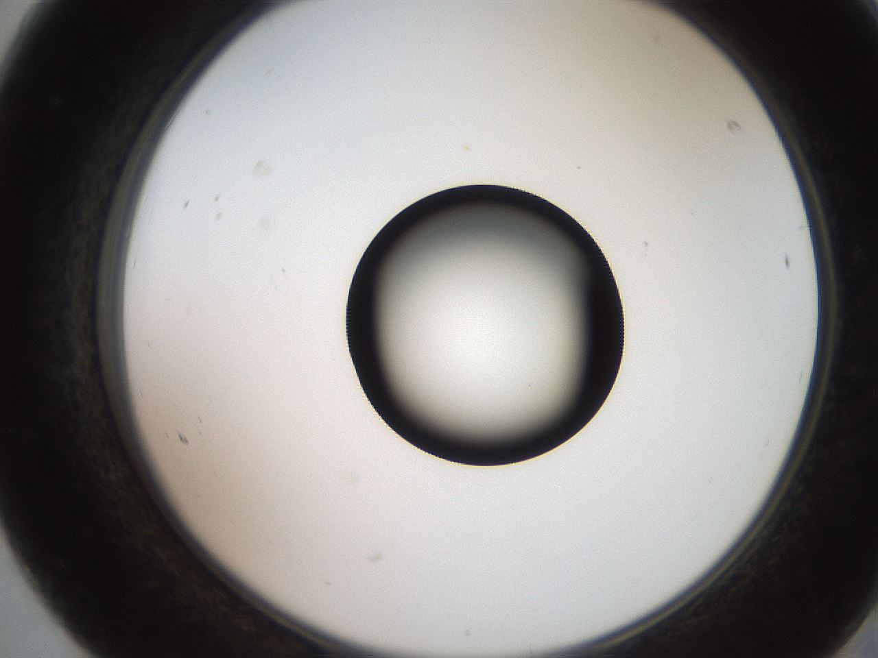 folderID247_plateID2247_batchID10277_wellNum68_profileID1_d2_r155202_ef.jpg