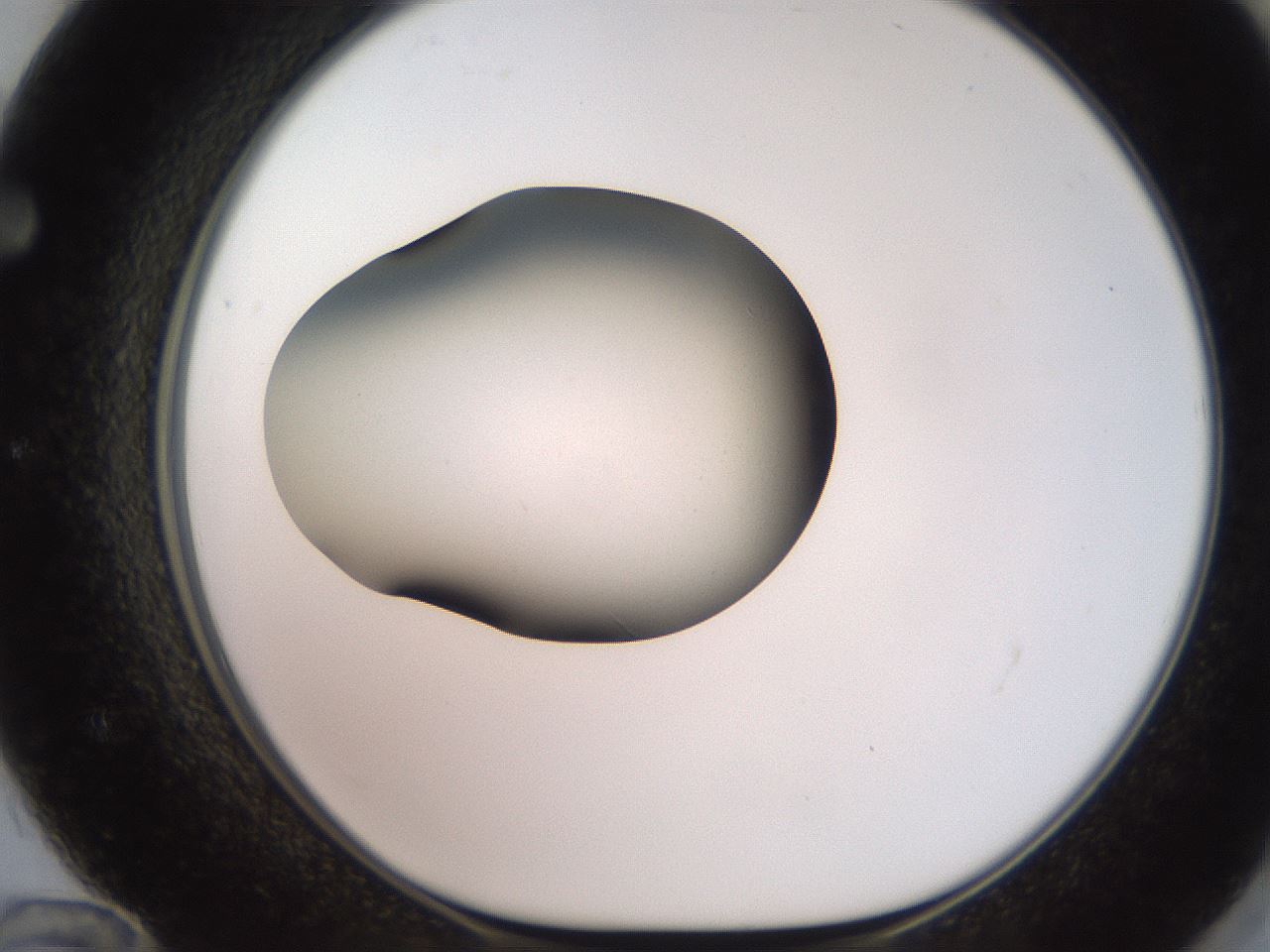 folderID247_plateID2247_batchID10277_wellNum72_profileID1_d1_r155209_ef.jpg