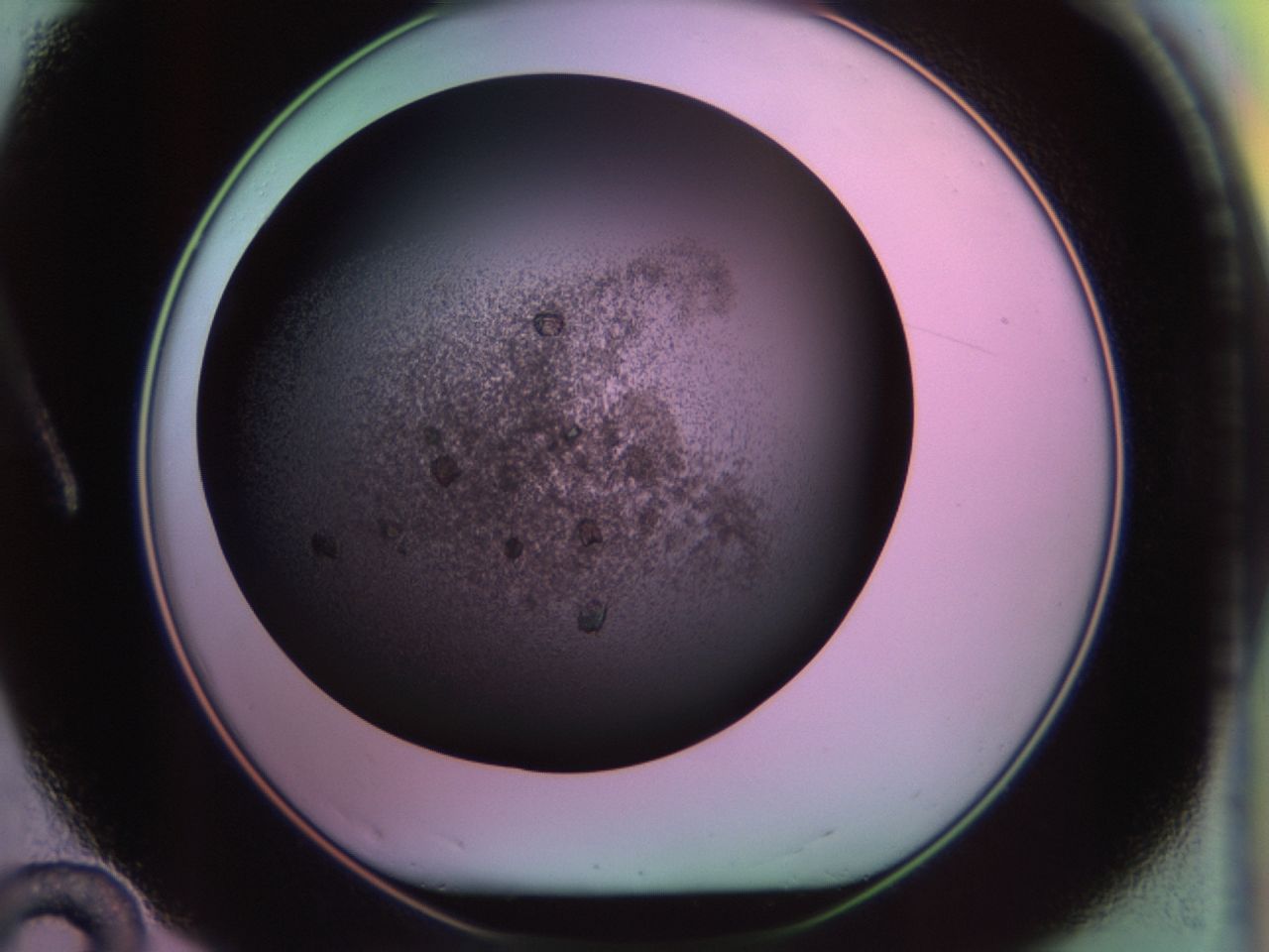 02hf_A12_ImagerDefaults_9.jpg