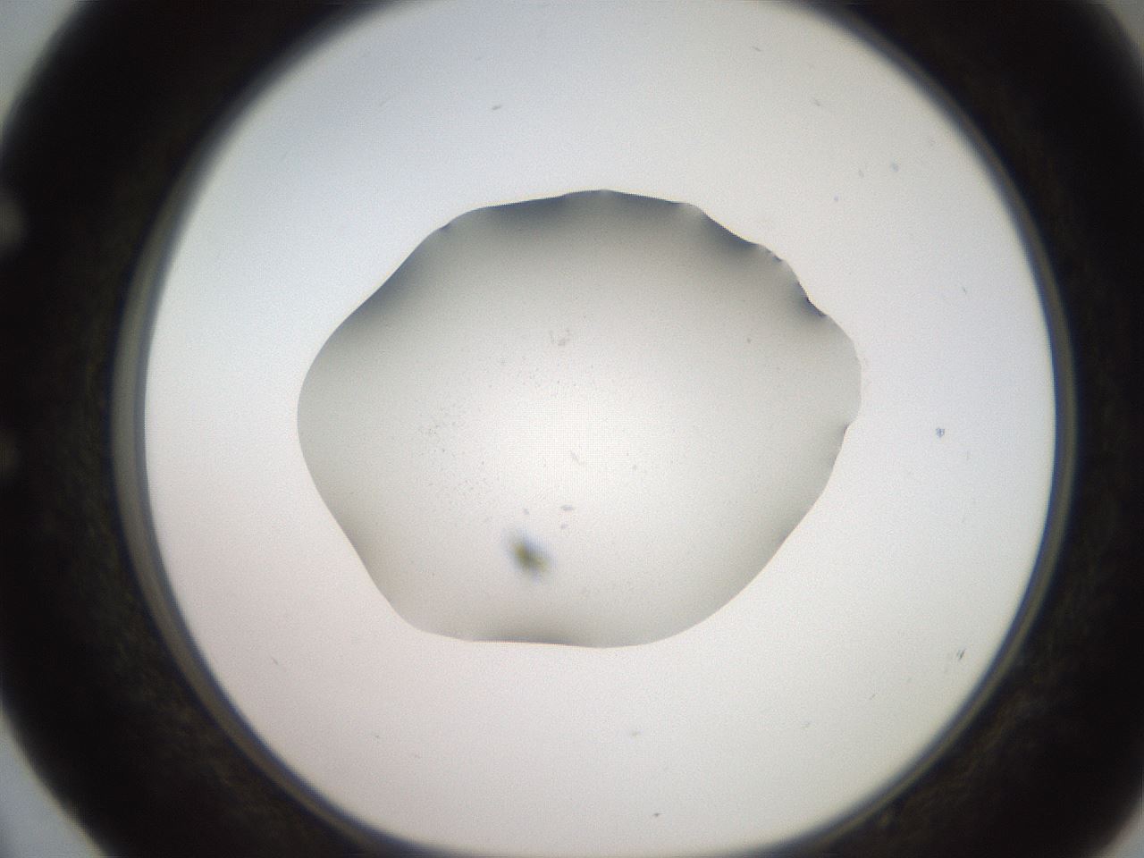 folderID247_plateID2247_batchID10277_wellNum52_profileID1_d1_r155169_ef.jpg