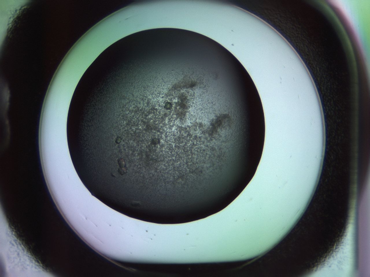 02hf_B8_ImagerDefaults_9.jpg