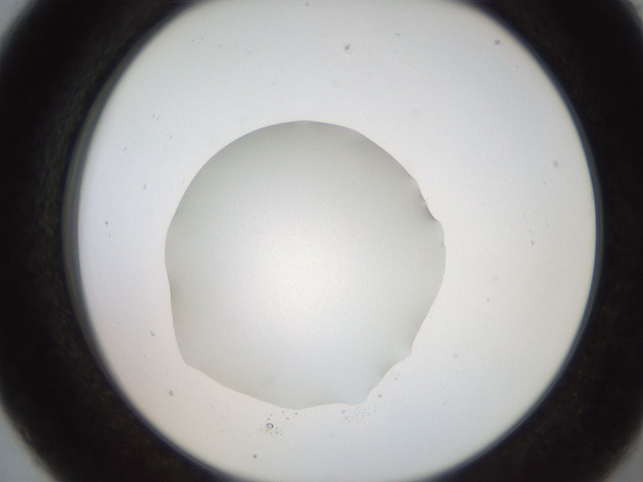 folderID247_plateID2247_batchID10277_wellNum5_profileID1_d2_r155076_ef.jpg