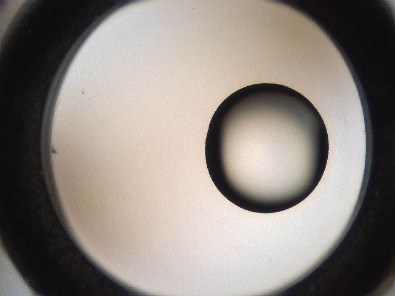 folderID247_plateID2247_batchID10277_wellNum62_profileID1_d2_r155190_ef.jpg