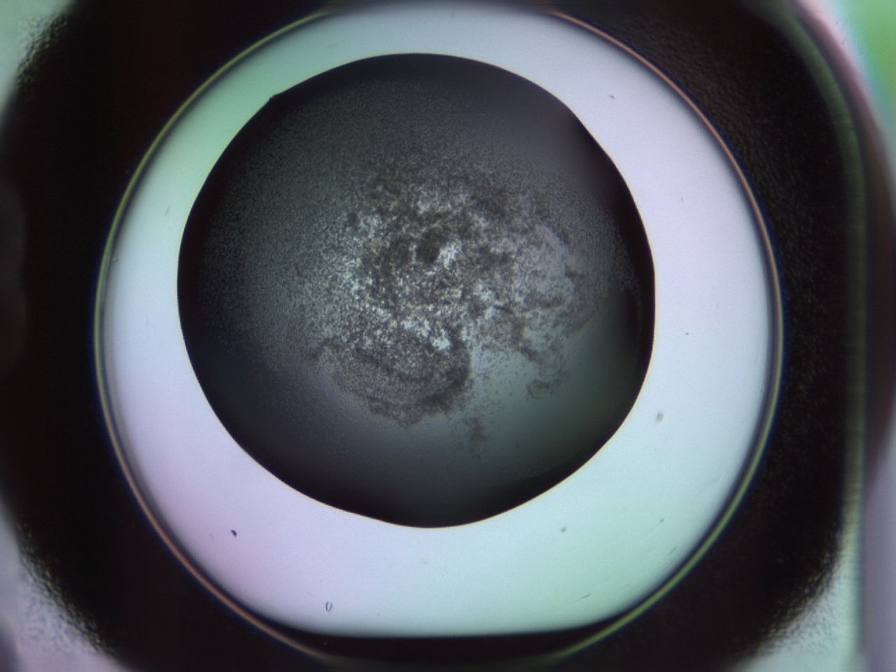 02hf_B9_ImagerDefaults_9.jpg