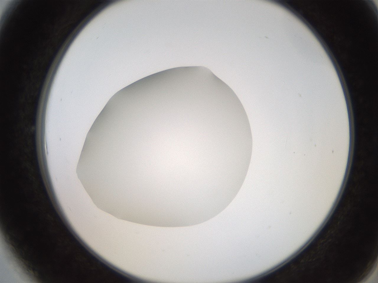 folderID247_plateID2247_batchID10277_wellNum6_profileID1_d2_r155078_ef.jpg