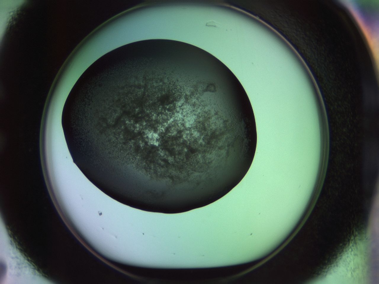 02hf_C7_ImagerDefaults_9.jpg