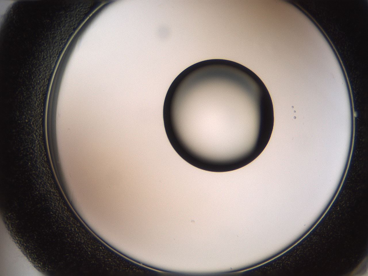 folderID247_plateID2247_batchID10277_wellNum72_profileID1_d2_r155210_ef.jpg