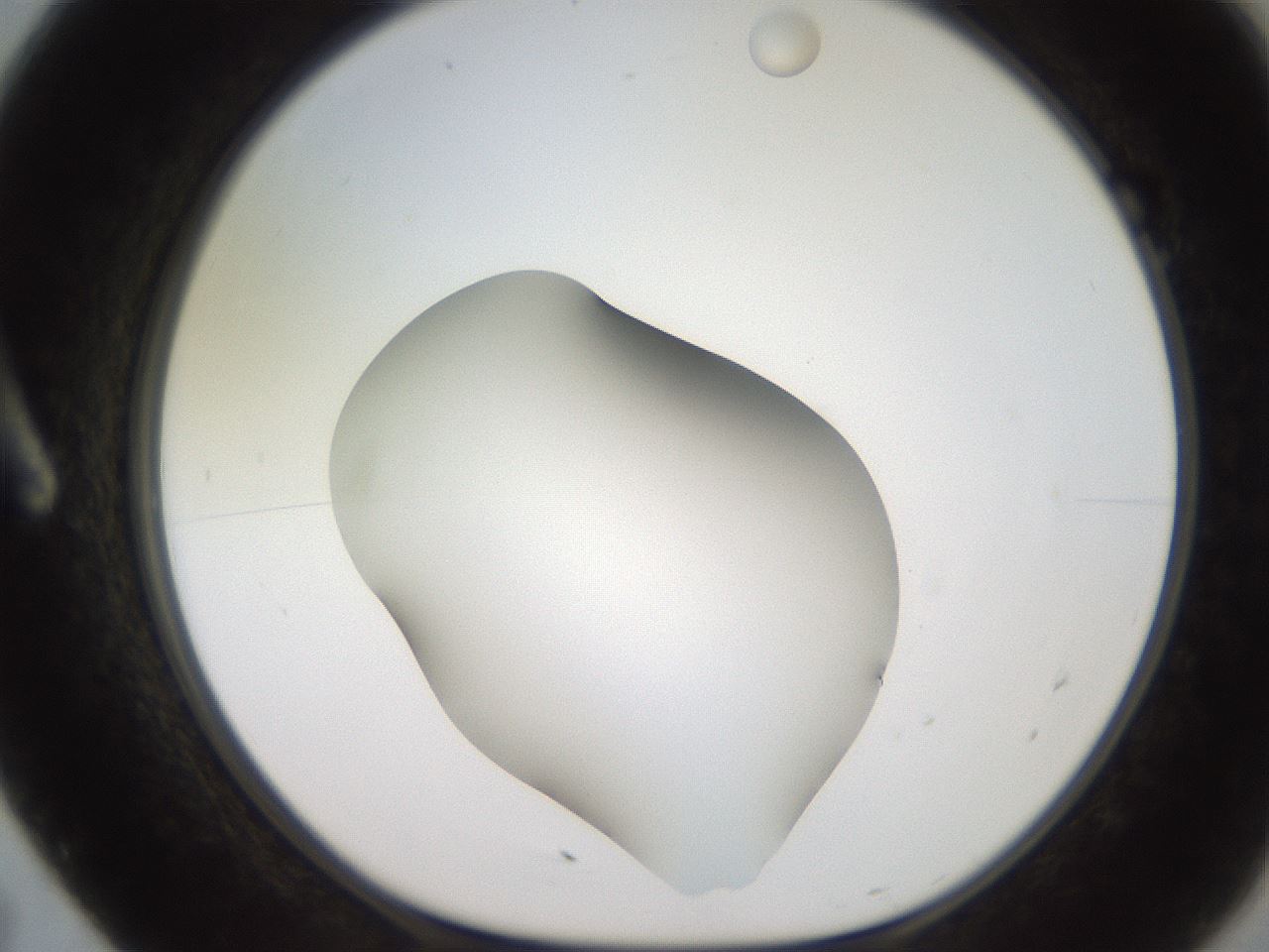 folderID247_plateID2247_batchID10277_wellNum7_profileID1_d1_r155079_ef.jpg