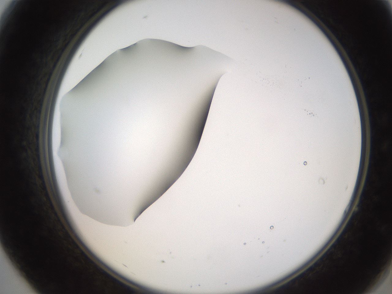 folderID247_plateID2247_batchID10277_wellNum7_profileID1_d2_r155080_ef.jpg