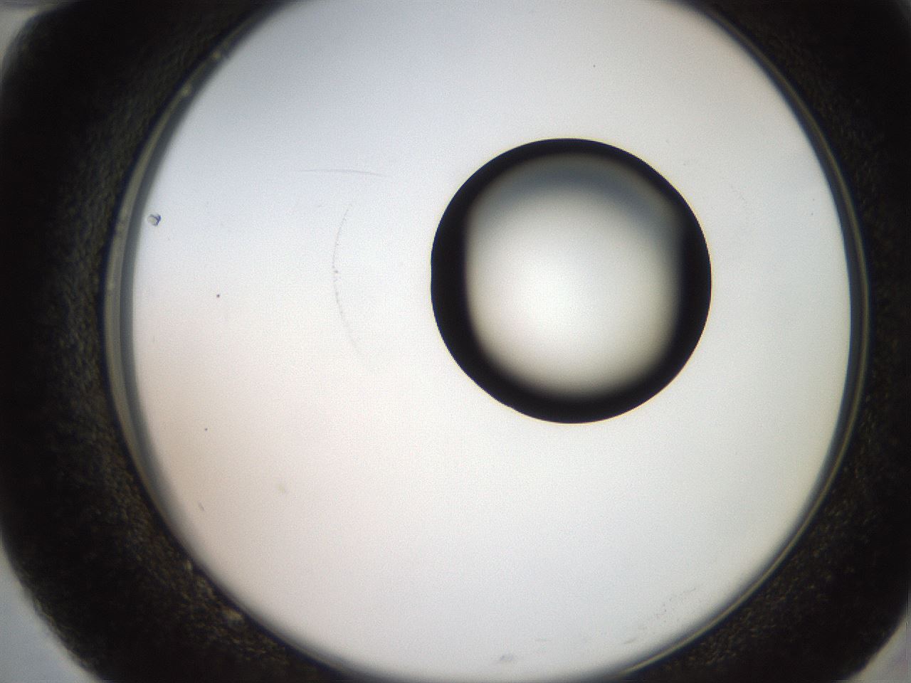 folderID247_plateID2247_batchID10277_wellNum82_profileID1_d2_r155230_ef.jpg