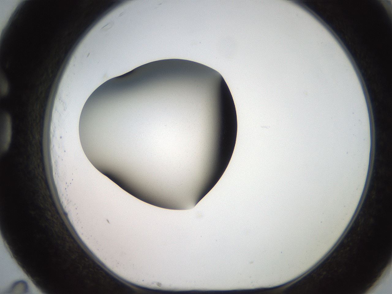 folderID247_plateID2247_batchID10277_wellNum83_profileID1_d1_r155231_ef.jpg