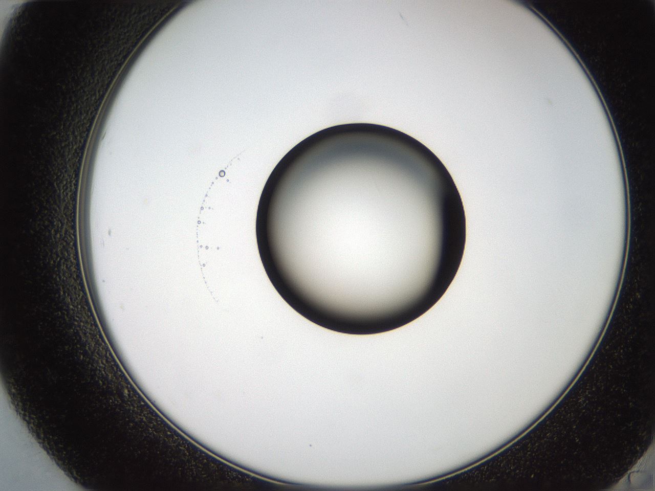 folderID247_plateID2247_batchID10277_wellNum84_profileID1_d2_r155234_ef.jpg