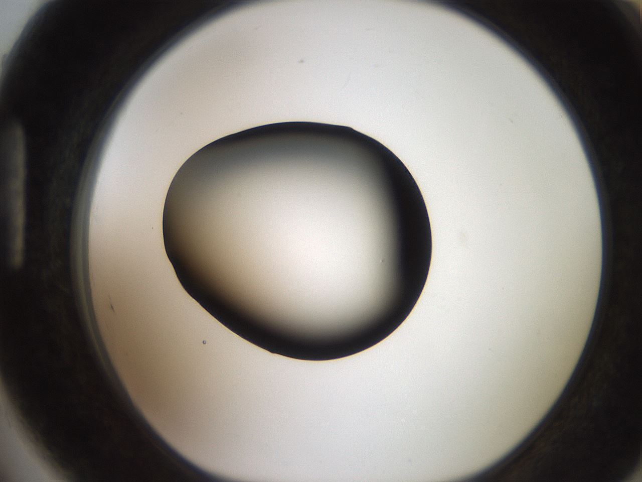 folderID247_plateID2247_batchID10277_wellNum89_profileID1_d1_r155243_ef.jpg