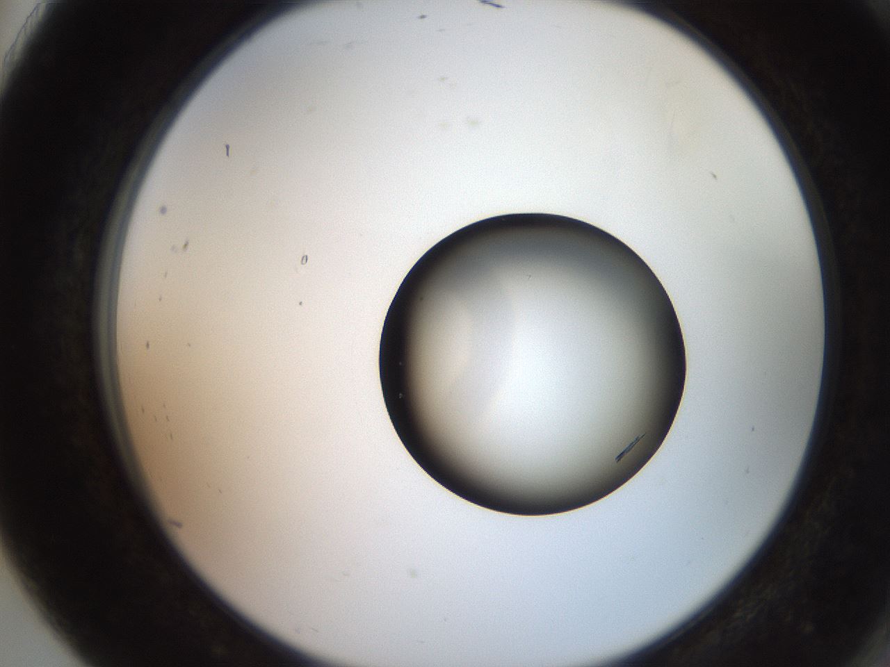 folderID247_plateID2247_batchID10277_wellNum91_profileID1_d2_r155248_ef.jpg