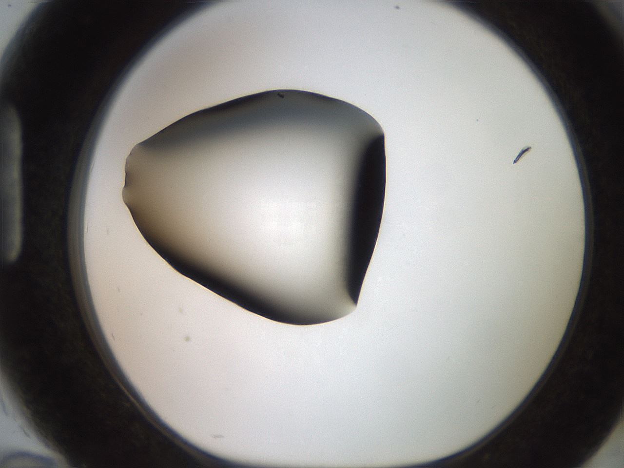 folderID247_plateID2247_batchID10277_wellNum94_profileID1_d1_r155253_ef.jpg