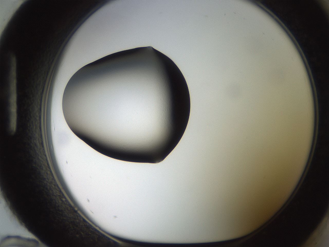 folderID247_plateID2247_batchID10277_wellNum96_profileID1_d1_r155257_ef.jpg