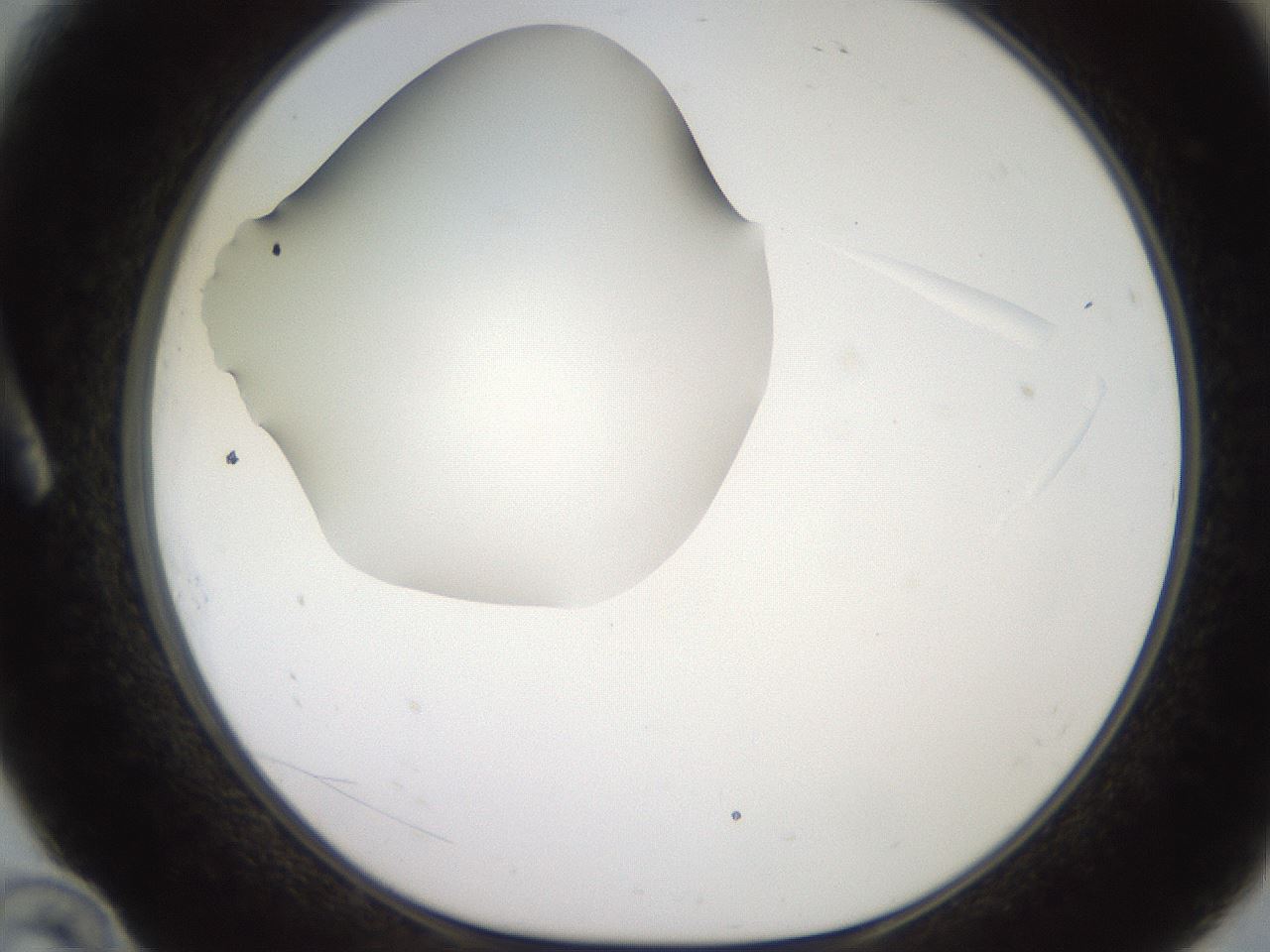 folderID248_plateID2248_batchID10283_wellNum10_profileID1_d1_r155853_ef.jpg