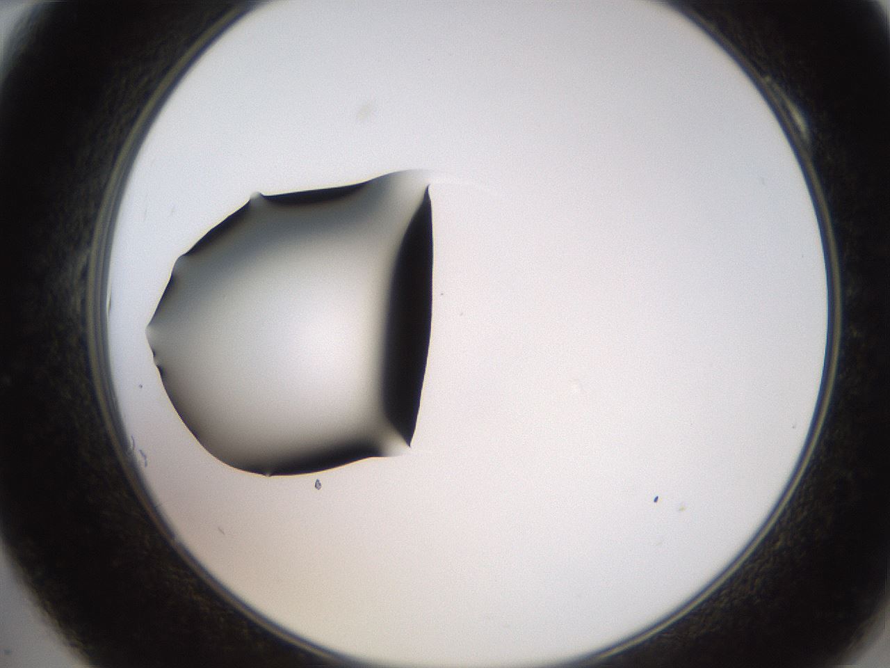 folderID248_plateID2248_batchID10283_wellNum10_profileID1_d2_r155854_ef.jpg