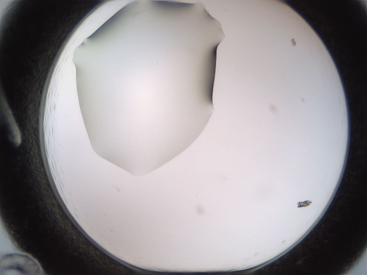 folderID248_plateID2248_batchID10283_wellNum12_profileID1_d1_r155857_ef.jpg