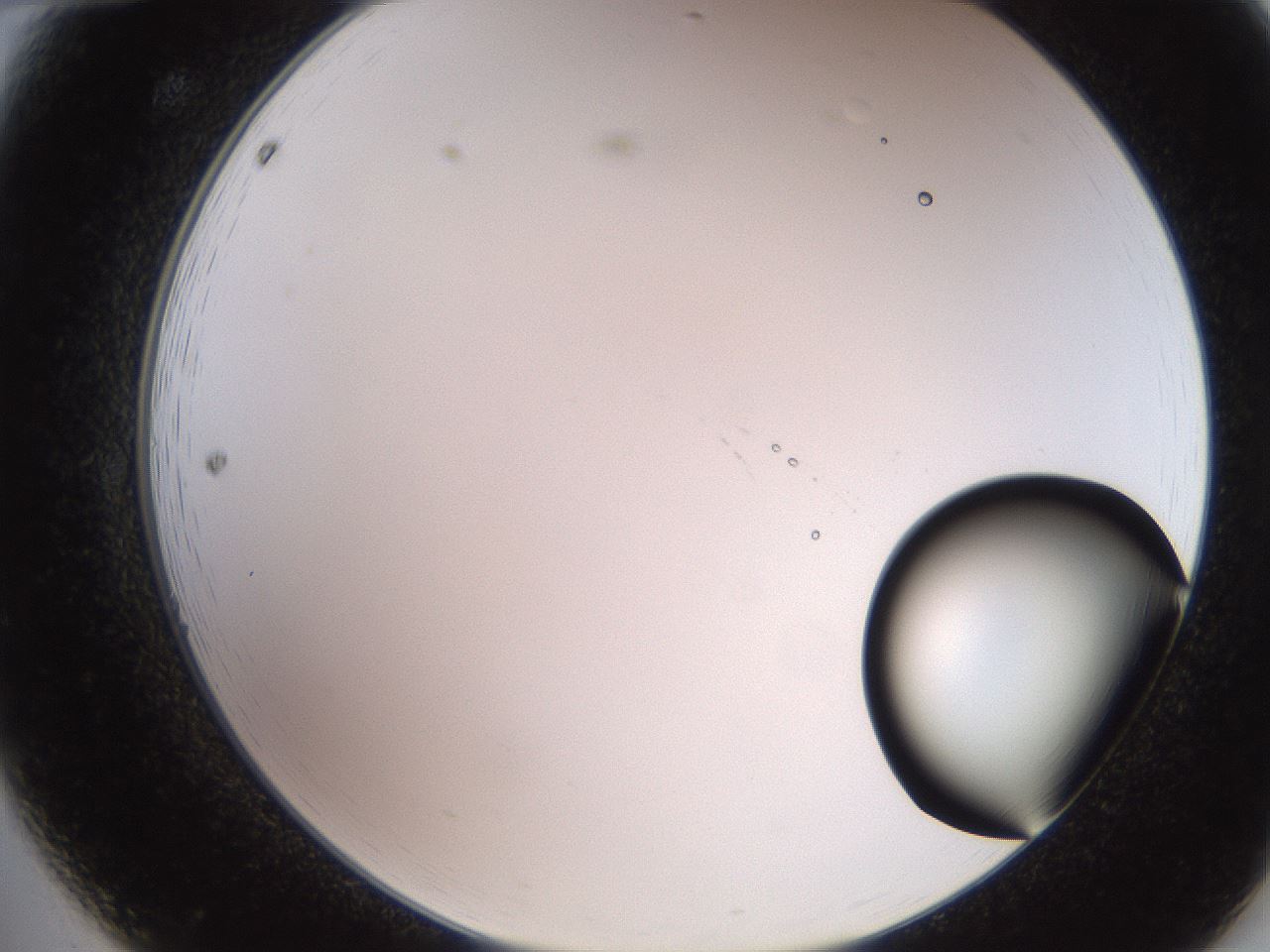 folderID248_plateID2248_batchID10283_wellNum12_profileID1_d2_r155858_ef.jpg