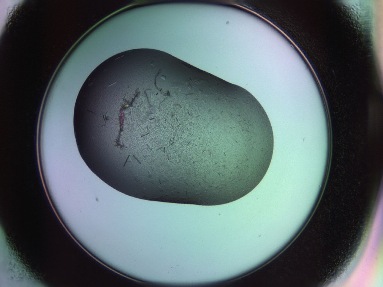 02hh_B1_ImagerDefaults_7.jpg