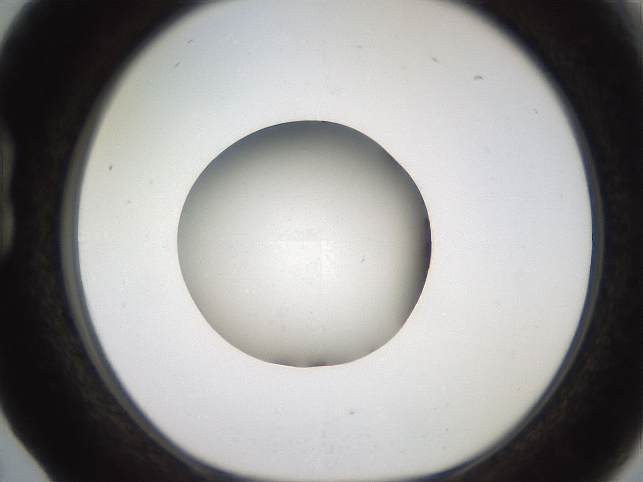 folderID248_plateID2248_batchID10283_wellNum17_profileID1_d1_r155867_ef.jpg