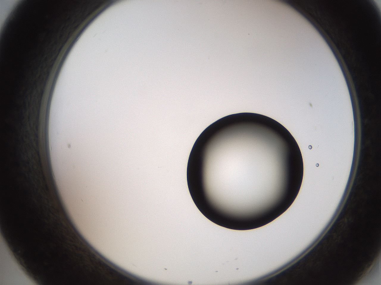 folderID248_plateID2248_batchID10283_wellNum20_profileID1_d2_r155874_ef.jpg