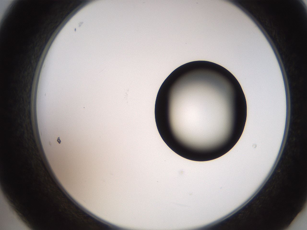 folderID248_plateID2248_batchID10283_wellNum21_profileID1_d2_r155876_ef.jpg