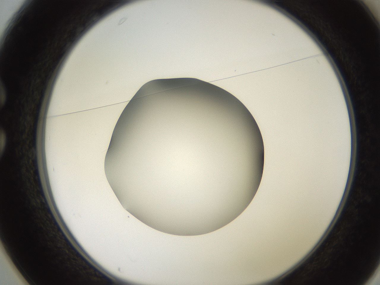 folderID248_plateID2248_batchID10283_wellNum25_profileID1_d1_r155883_ef.jpg