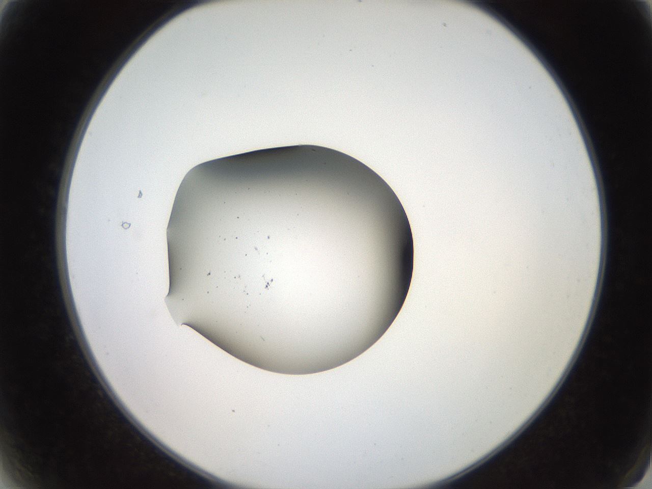 folderID248_plateID2248_batchID10283_wellNum2_profileID1_d2_r155838_ef.jpg
