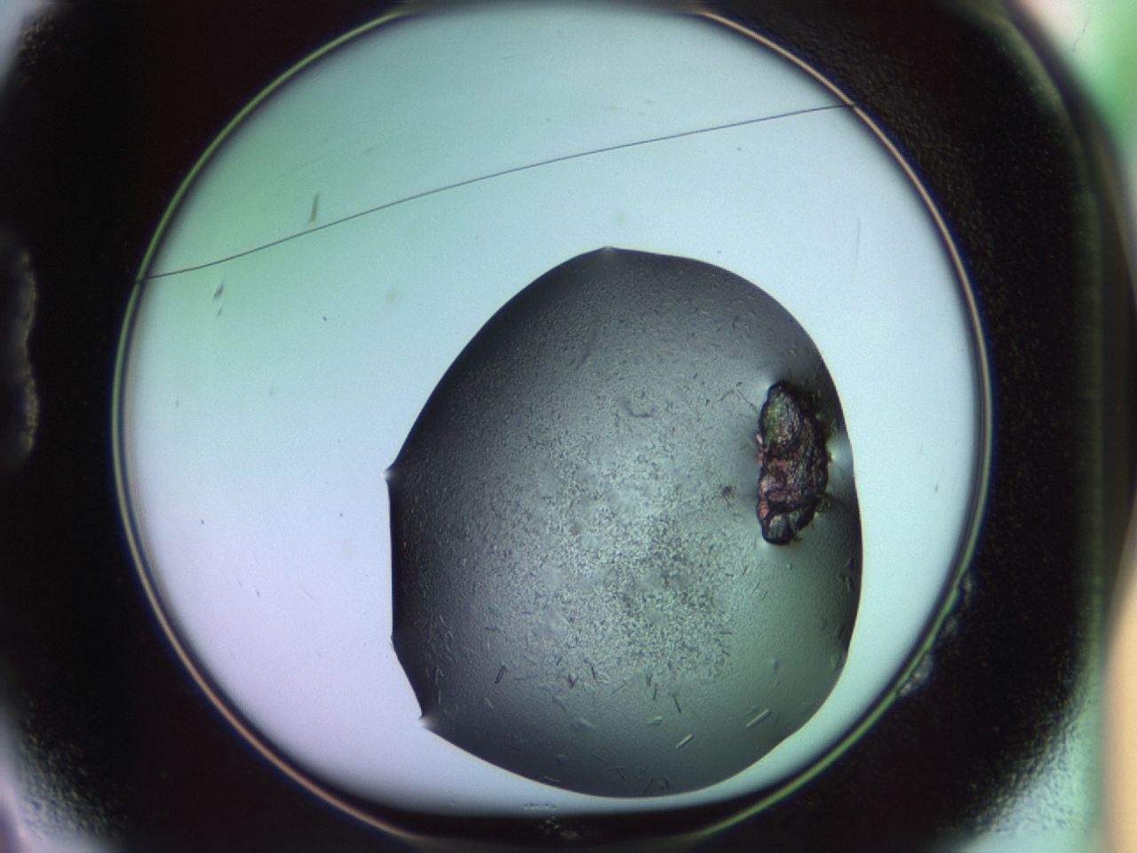 02hh_B2_ImagerDefaults_8.jpg